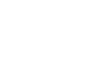 Nakamichi Logo